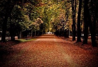 chad_peddycord's profile picture. 