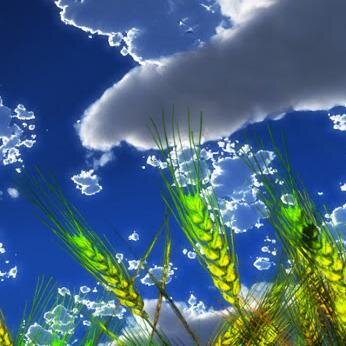 eudyruido's profile picture. Los tiempos viejos pasaron, he aquí son hechos nuevos.