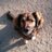 ruthnit's profile image