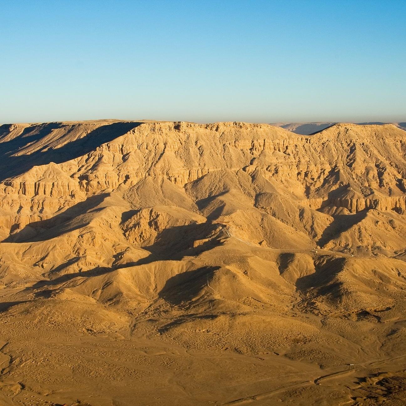 funnyprimehappy's profile picture. 