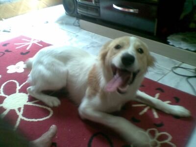 DeniaMaica's profile picture. 