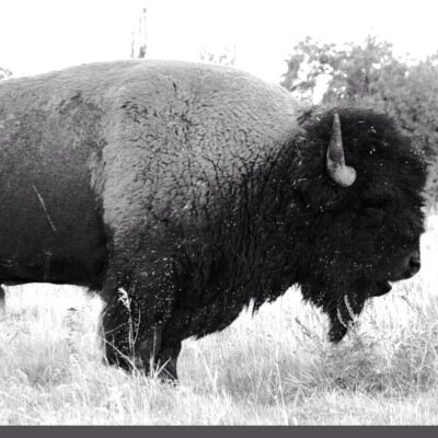 wnyconfession's profile picture. DM in things