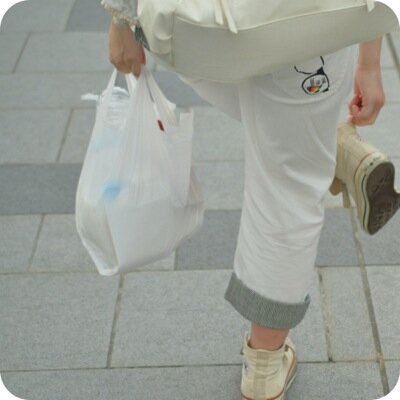 アイコン→トトちゃん撮影