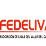 Fedeliva1's profile picture. 