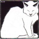 Holly Langdon - @wrldcat - Twitter