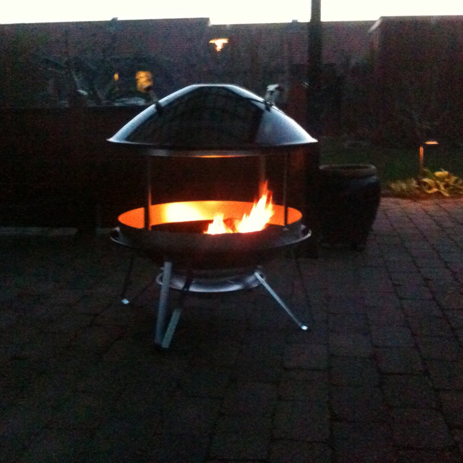 OleDahlmann's profile picture. 