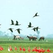 robinsongerder's profile picture. 