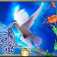 Takipcigram.com (@akyidris) 's Twitter Profile