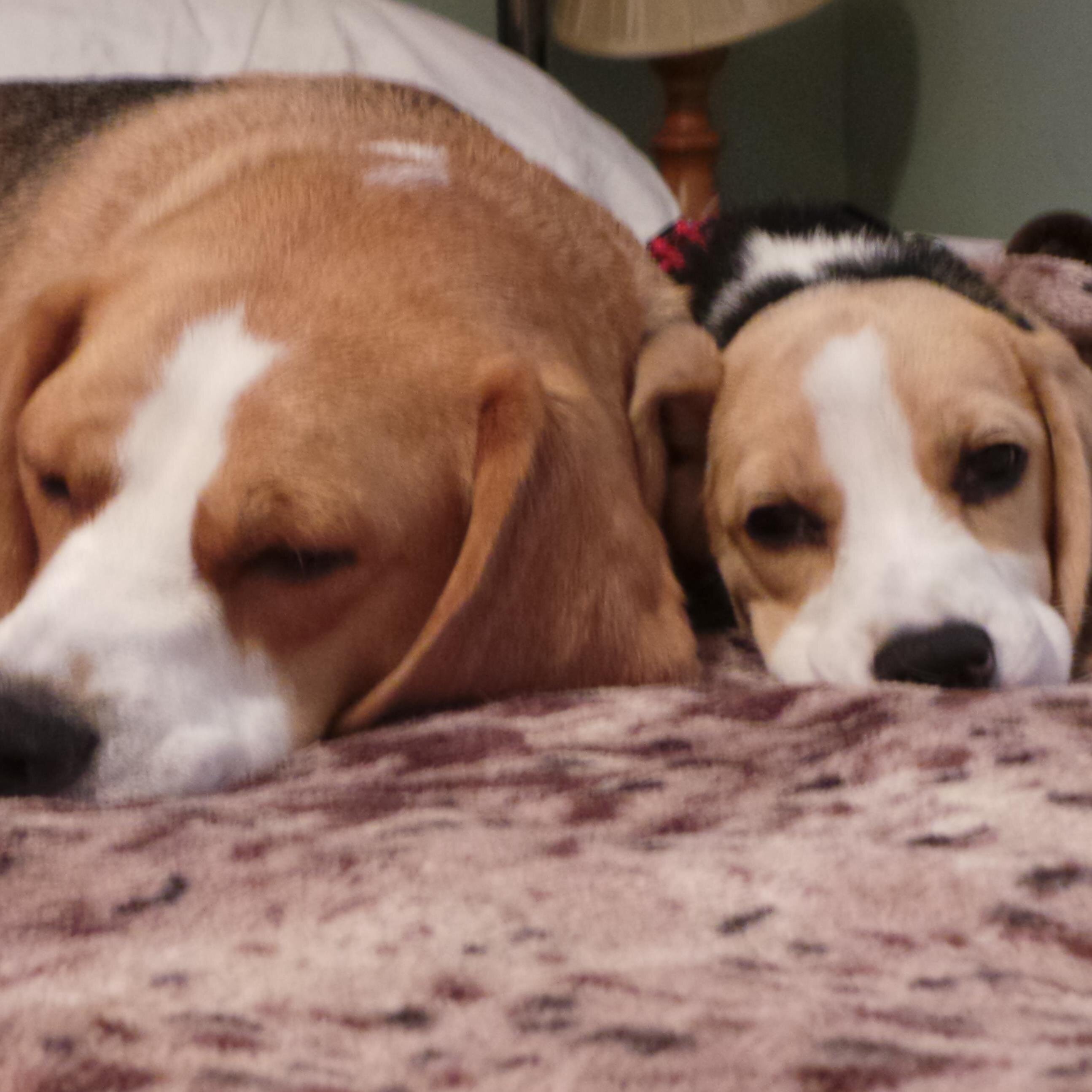 MandaMurph123's profile picture. 