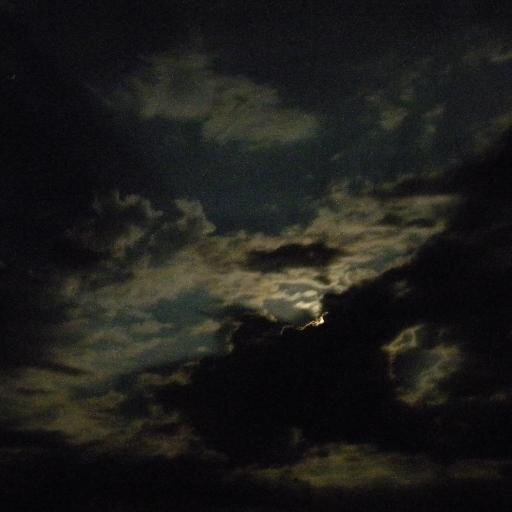 lori99674074's profile picture. Have 2 beautiful, smart kids and the best daughter-in-law in the world!