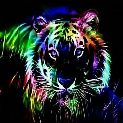 kz_kristin's profile picture. Miau!