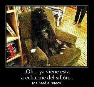 juavzzz20189's profile picture. 