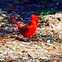 Kim Kirkpatrick - @kirk196450 - Twitter