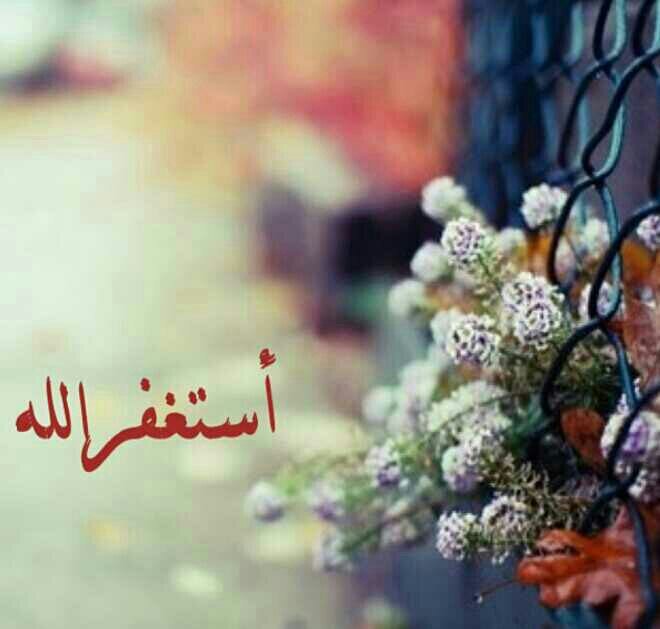 ‏‏‏‏.فتاة هادئة مزاجي من نوع فاخر اعشق شخصيتي مهما كانت واعشق ملامحي و تفاصيلي ليس كل ما اكتبه يتحدث عن وآقعي انما هي كلمات راقت لي عذراً للجميع فالخاص مهمل