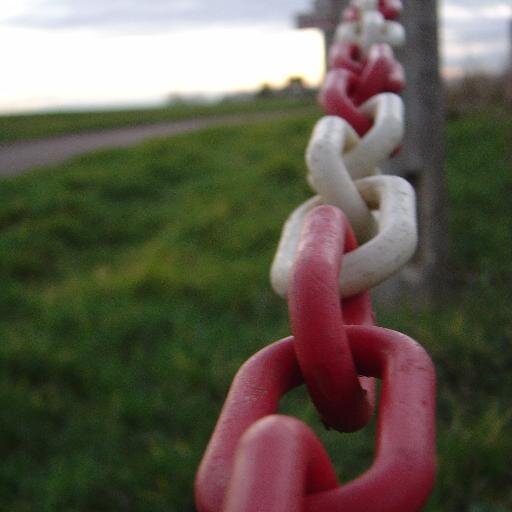 AnneRobert98's profile picture. 