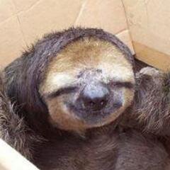 AubeWanKenobi's profile picture. 