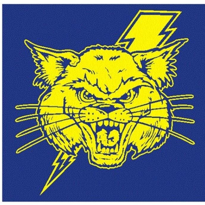 NLRHSathletics's profile picture. 