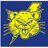 NLRHSathletics's profile image