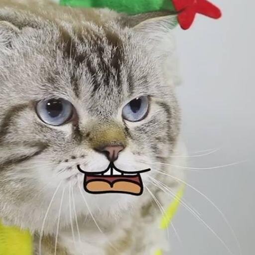 nakanglu2 Profile Picture