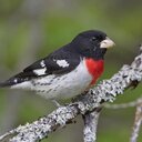 todd j kirchner - @todd_kirchner - Twitter