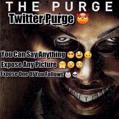 !!Official Twitt3r Purge Page!! Use #TwitterPurge 7/19/14 @7pm, You Can Write Whatever You Wan't & Expose Anyone You Please!! Kik:TheTwitterPurge To Expose