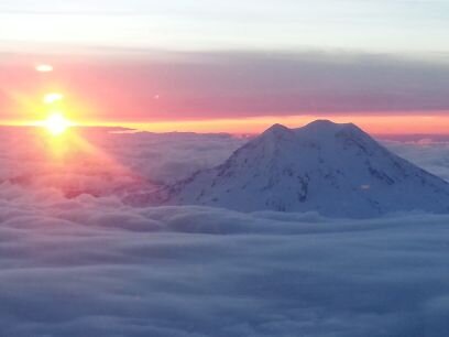 LAFox's profile picture. works for J&J but tweets are her own