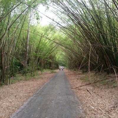 nothingtotalkab's profile picture. 