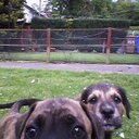 duncan mcmahon - @mcmahon_duncan - Twitter