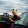 weather_tami's profile picture. Automotive Consultant by trade 🚗 Meteorologist for fun⚡️Miss State Alum 🐶 Vandy Alum ⭐️ #mswx #tnwx