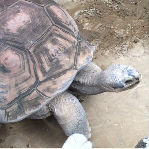 news_iphone_'s profile picture. 