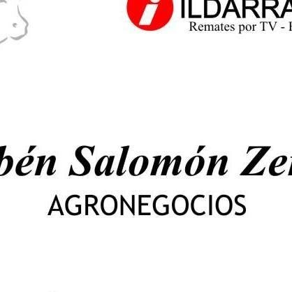 COMERCIALIZACIÓN HACIENDAS ,CONSIGNACIONES VENTAS ,CAMPOS ,REMATES TELEVISADOS , ROSGAN ,REPRESENTANTE ILDARRAZ HNOS S.A