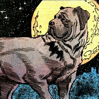 Bat-Hound.