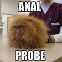 matt stacey - @mattstacey528 - Twitter