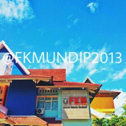 Fakultas Kesehatan Masyarakat Universitas Diponegoro 2013 | Faculty of Public Health Diponegoro University 2013