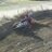 josu_728's profile image