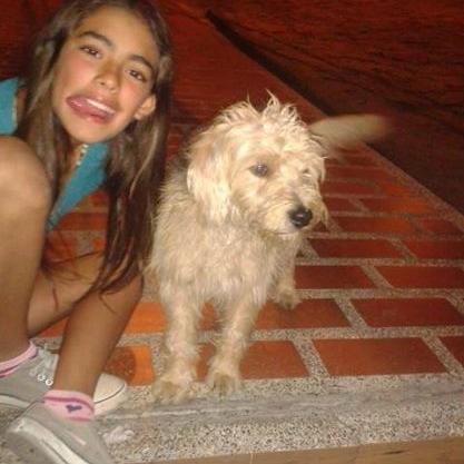 q es el amoor