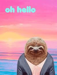 ill follow back 2 u