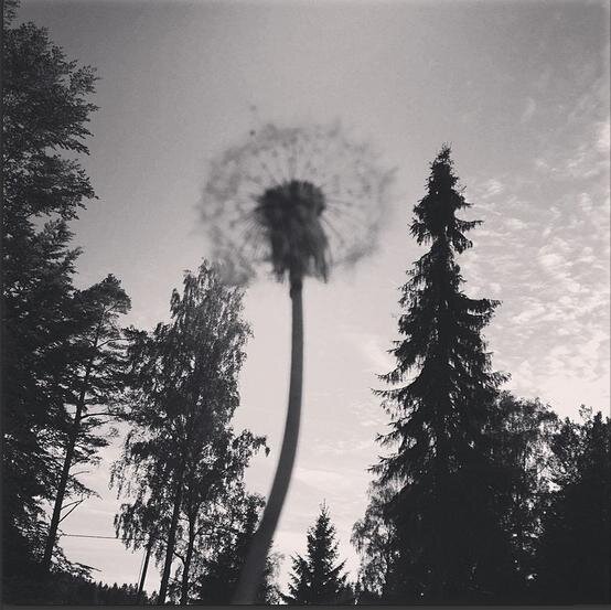 simon_karlsson's profile picture. The people behind A Song for Viggo all mashed up in one twitter-account. For inquires or if you just want something, mail info@saintandsimon.com :)