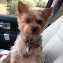 Rick Wolf - @rwolf315 - Twitter