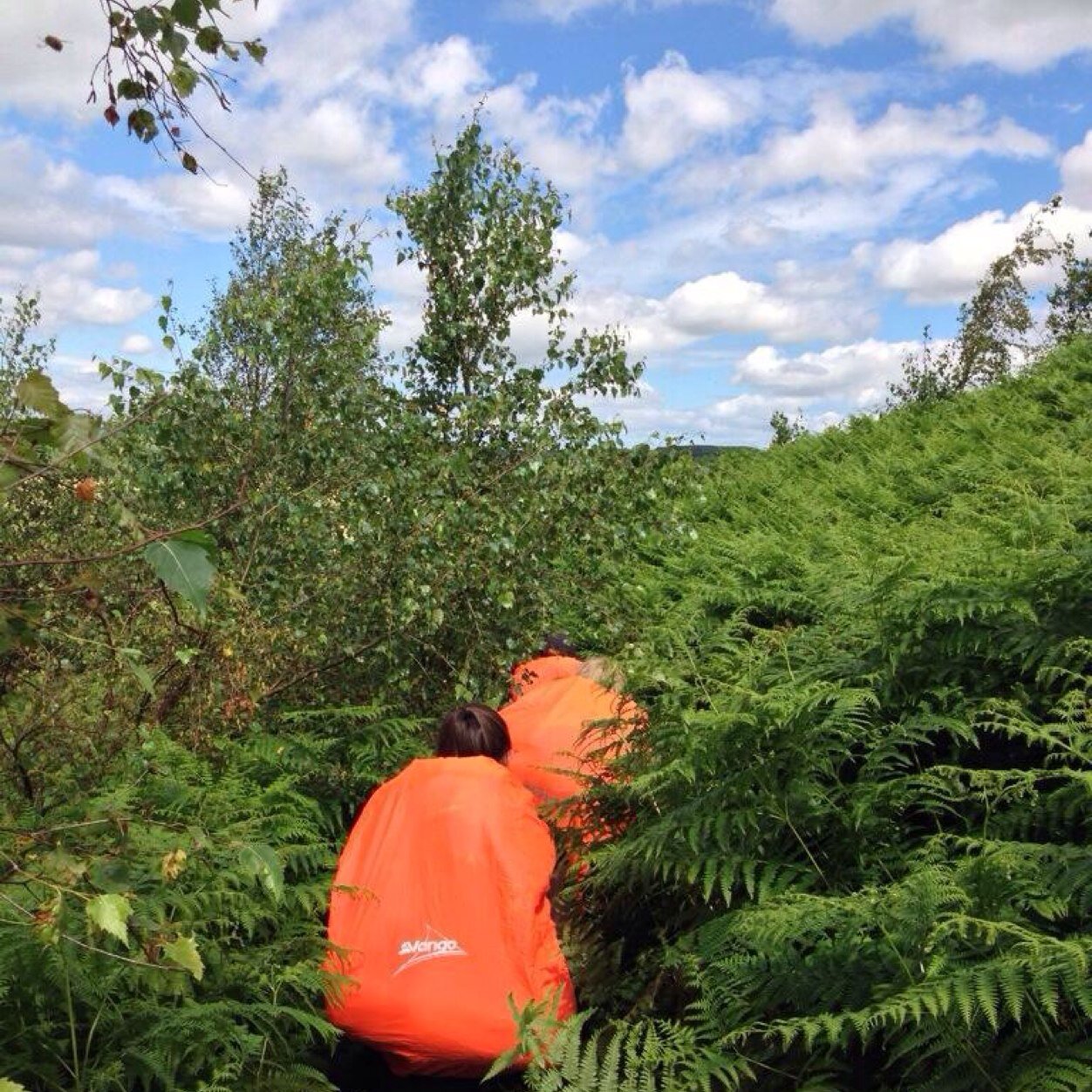 GoldDofELCC's profile picture. The Official source for DofE updates for Gold