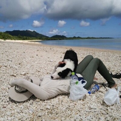 お猫さまと暮らしたい🐈 ， 無言フォローお許しを