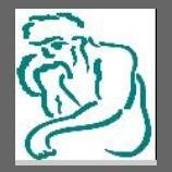 School Psychologist, Sport Psychology Consultant, Parent, and Children's Advocate