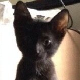 MouseWindow's profile picture. If my answers frighten you then you should cease asking scary questions...
I speak my mind and I'd hope you do the same...