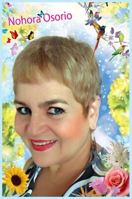 OsorioNohora's profile picture. 