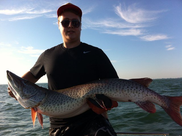 A group of die hards who live for anything with scales...including mermaids....which each one of us hope to catch and start a family with....