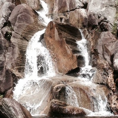 lcady_laurie's profile picture. 