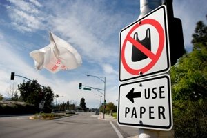 plasticbag6's profile picture. Here to keep you aware of the dangers that plastic bags bring to the environment and how to stop using them.