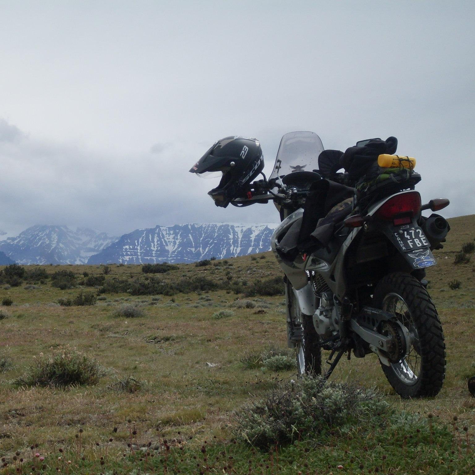 Gattoyos's profile picture. 