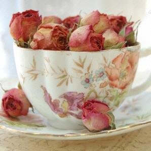 vinebranches7's profile picture. Tips and information on herbal teas and sharing good things with you.