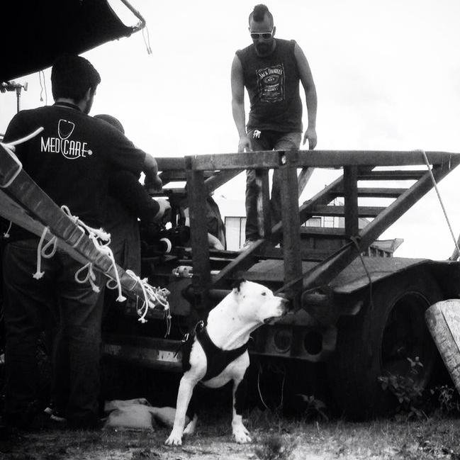 elHuitla's profile picture. Conexión directa con la sabiduría del universo; con mucho estilo y toda la actitud